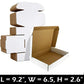 Pack of 10 Courier Mailer Boxes Corrugated 3-Ply Sizes Available - Packing Material (Copy)